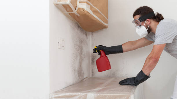 Professional Mold Remediation technician working in Olanta, PA