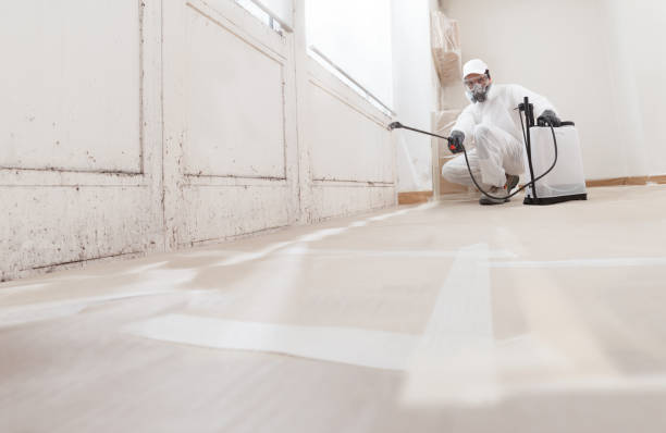24/7 Emergency Mold Remediation experts in Olanta, PA